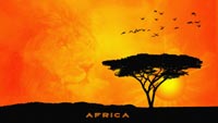 African Savanna by_Robert Prinsen
